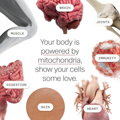 Mitopure Softgels